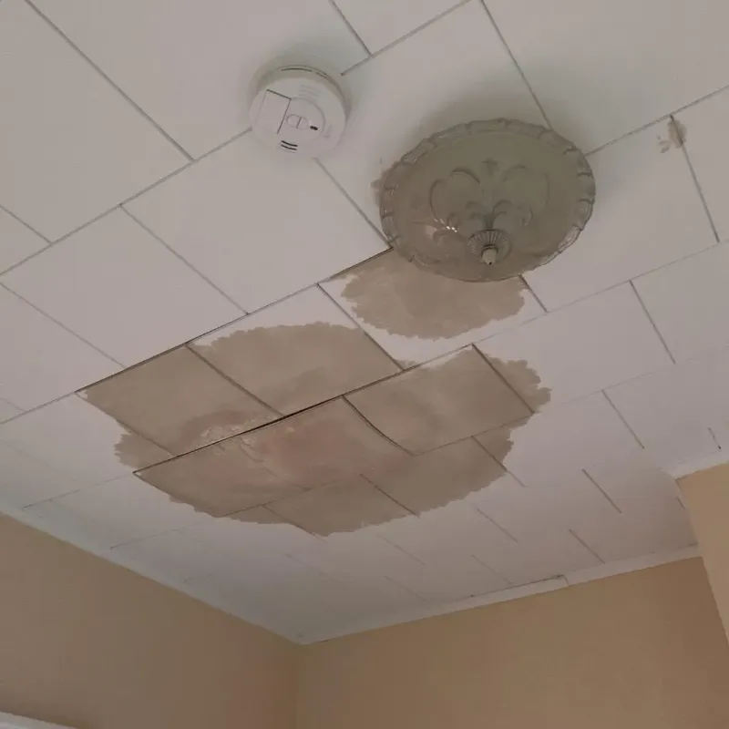 Ceiling Water Damage Repair in Dawson, MN
